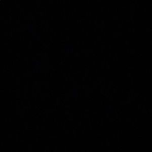 Meet your Posher, Guy